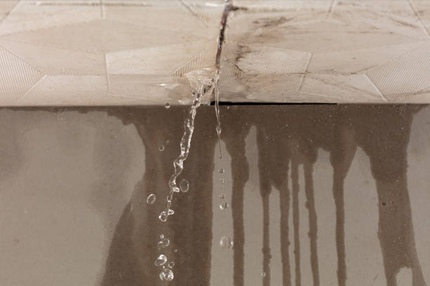 Professional Burst Pipe Cleanup technician working in Walls, MS